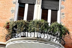 Mmpf... Che piante che noia. Mister Fru fru. Detto anche Rampo Tarlo.