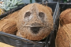 Huooo! Il ritorno dei Cocchi Viventi. Rocco Bello. Detto anche Ro-Coccò. Il Cocco Bello della...