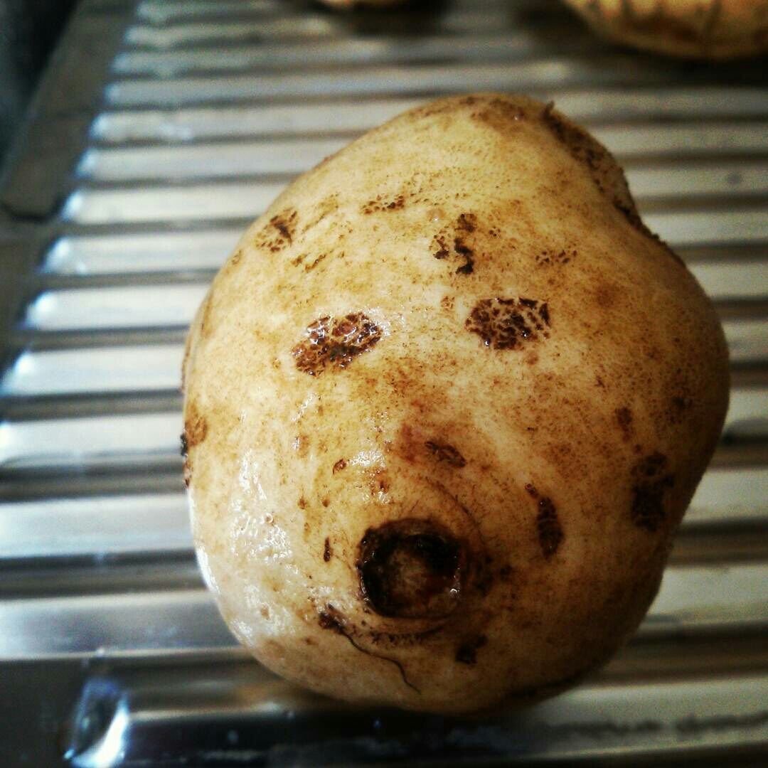 My potato friend