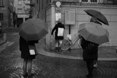 Gli ombrelli