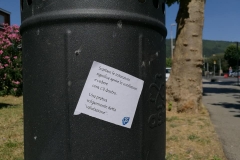 Cestinamenti pratesi 2020