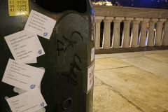 piccola vertebra di Cestinamenti lungo il PO