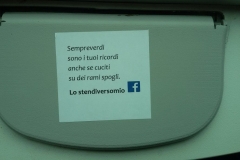 sempreverdi verso Verona