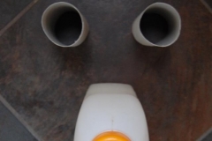 Un orso nella mia casa