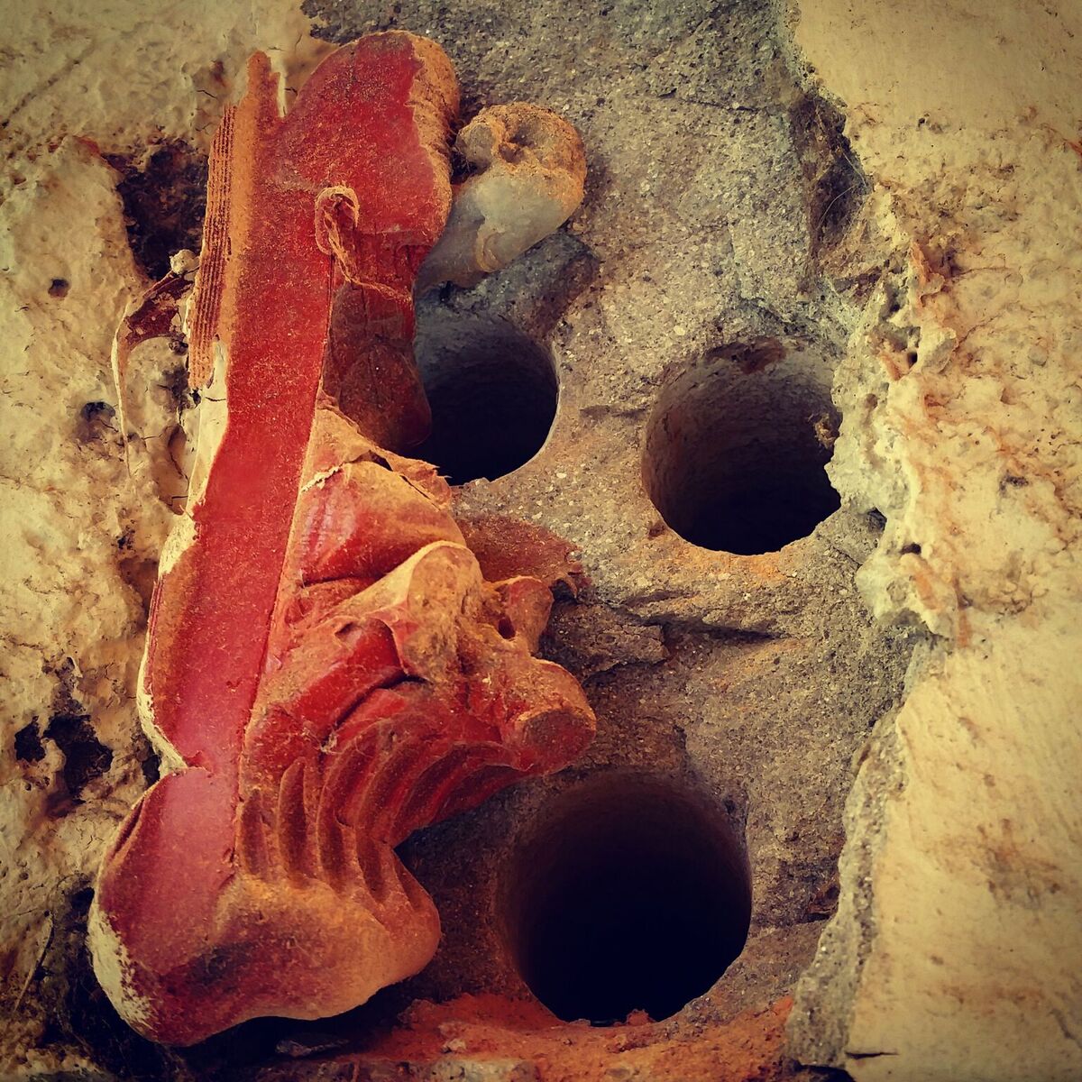 Archeologia felsìnea