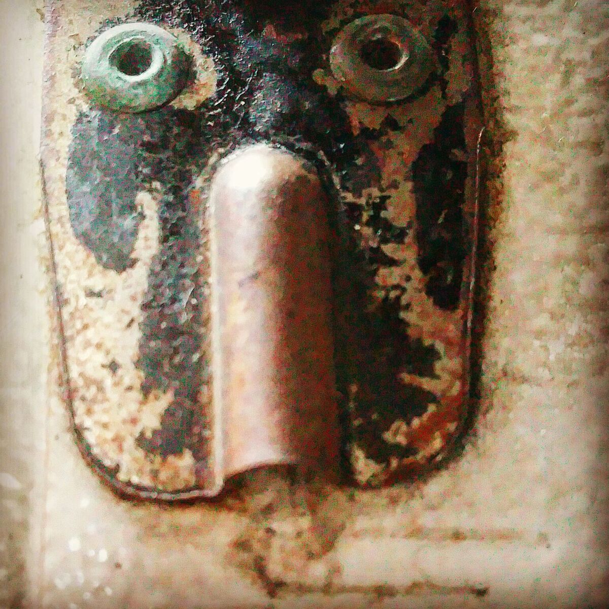 L'invasato di Barbiano