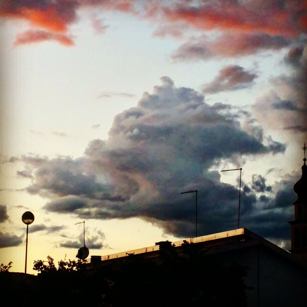 il drago padovano