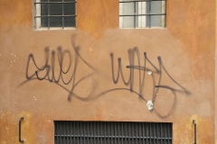 Il diffidente