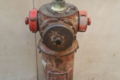 Estinto