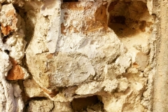 Il golem bolognese