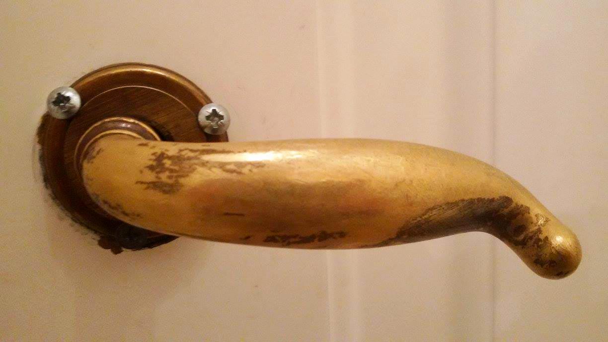 Il-formichiere