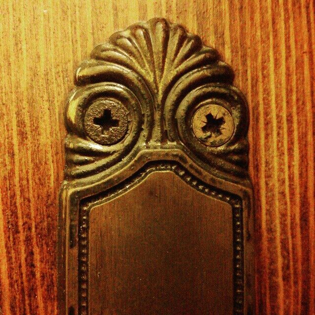 Il mostro della laguna ferrarese