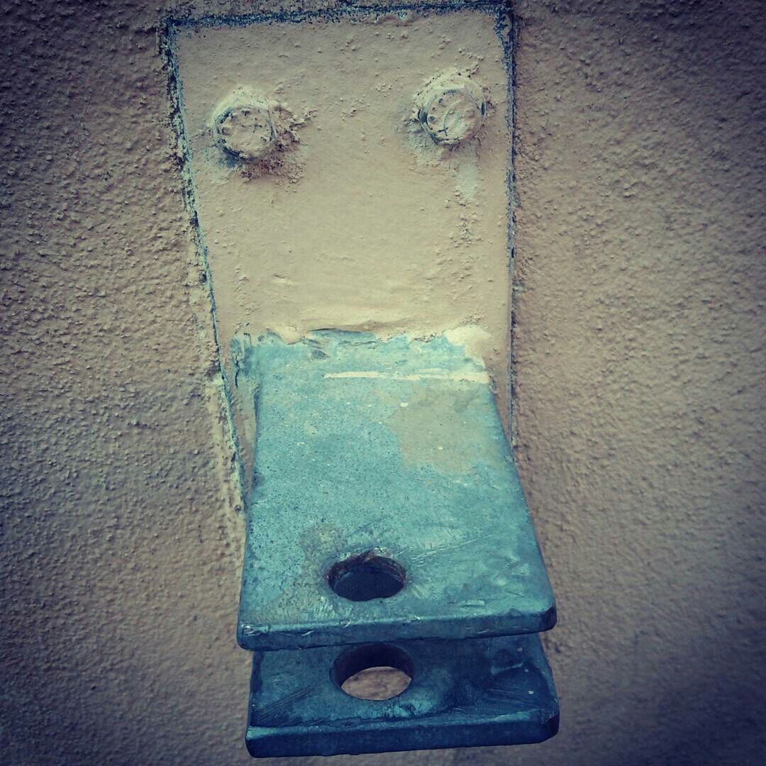 Il papero ferrarese