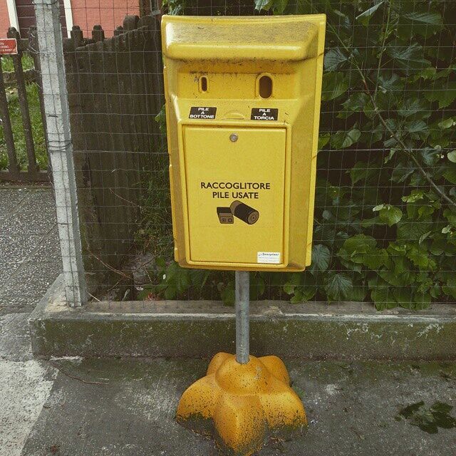Il pulcino mantovano