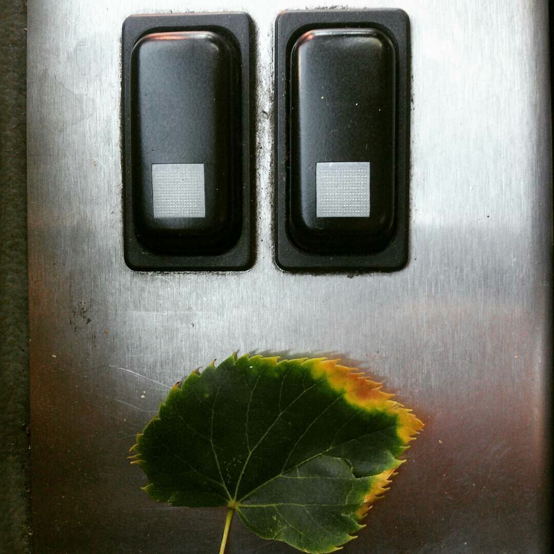 Il volto dell'autunno