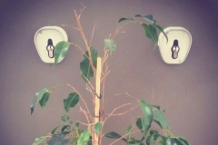 I watch you