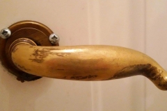 Il-formichiere