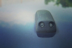 Il mostro di Lochness