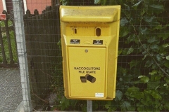 Il pulcino mantovano