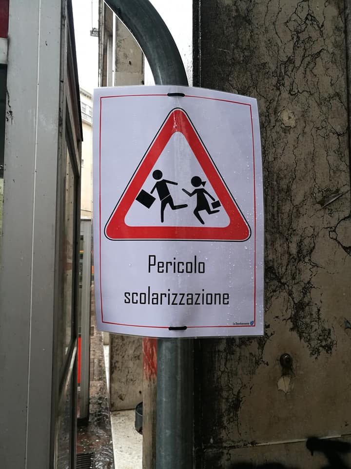 Scolarizzazione