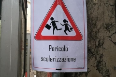 Scolarizzazione