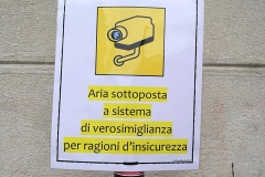 Verosimiglianza
