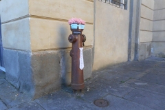 Il clandestino lucchese