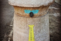 Il poeta triestino