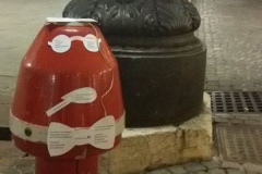 Il pompiere polesano