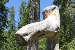 Strani personaggi erranti in circolazione montana di Alleghe