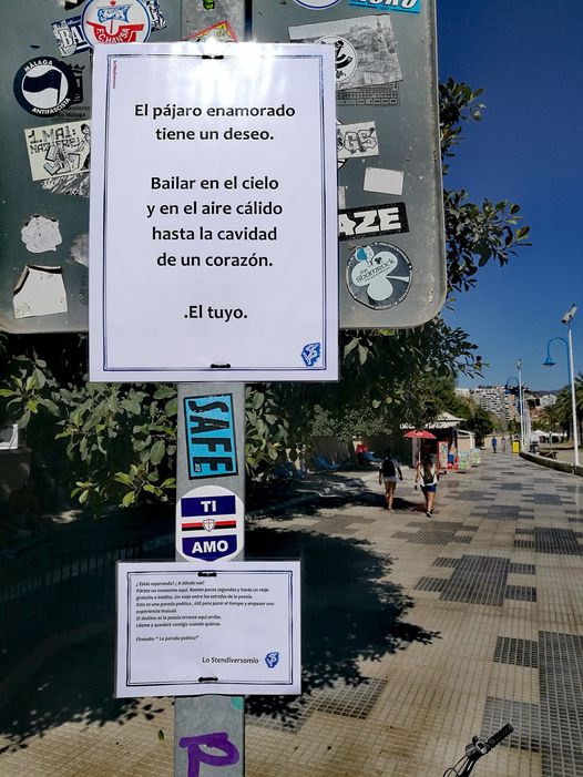 El pajaro