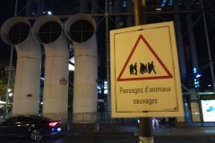 Attention