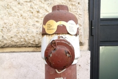 Idro Birbante. L'errante romano del giorno presente.