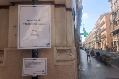 La vida y la calle