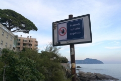 Per carità. Nervi