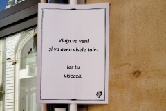 Verrà la vita