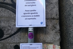Avresti proprio dovuto