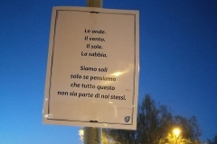 Crepuscoli in salsedine errante