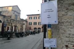 Distici