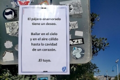 El pajaro