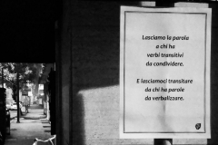 Lasciamo la parola Rovigo