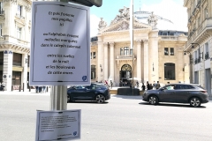 L'errante e i boulevards