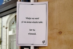 Verrà la vita