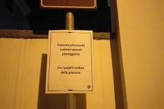 Passanti e la biblioteca