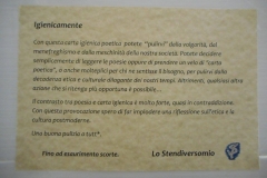 Istruzioni per l'uso poetico errante