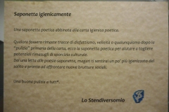 Istruzioni saponetta