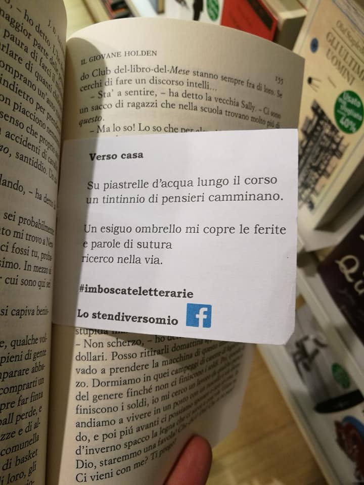 Ibs Mantova marzo 2018