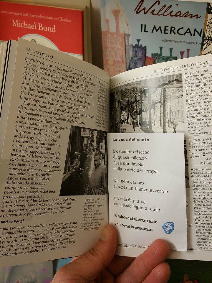 Montefeltro libri Urbino