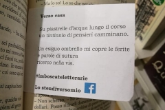 Ibs Mantova marzo 2018
