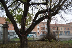 Prospettive diurne e poetiche